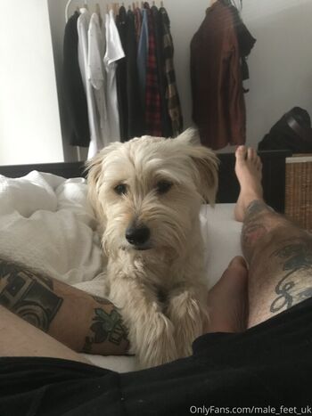 male_feet_uk