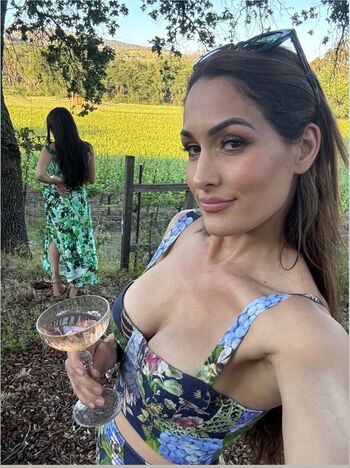 The Bella Twins